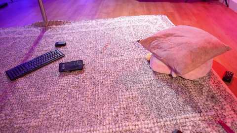 Media: Video of a cozy living room with a beige rug, a plush pillow, a remote, a keyboard, and a black mouse on a wooden floor, illuminated by warm, ambient lighting.