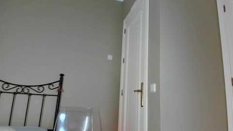 Media: A video of a minimalist bedroom corner featuring a white door with a gold handle, a black wrought-iron bed frame, and light gray walls.