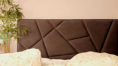 Media: Video of a modern bedroom with a brown, tufted headboard featuring geometric diamond patterns. A potted bamboo plant stands on the left side. The bed has white sheets with a subtle floral pattern.