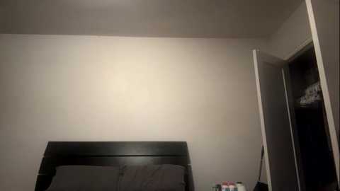 Media: A dimly lit video of a simple bedroom with a closed door, white walls, and a dark wooden headboard.