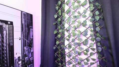 Media: A video of a wall adorned with a lattice of green leaves and a black and white video of a cityscape, partially covered by a dark curtain.