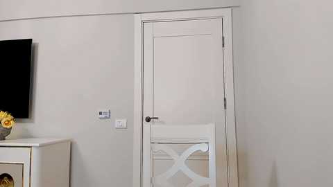 Media: Video of a minimalist, modern bedroom with a white door and wall, a black flat-screen TV, and a white chair with an ornate backrest.