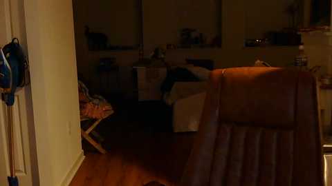 Media: Video of a dimly lit, cluttered bedroom with a brown recliner chair, wooden floor, and messy bed with white sheets.