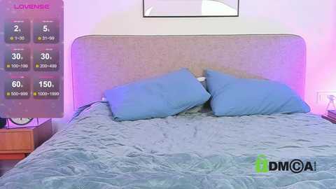 Media: A video of a modern bedroom with a gray upholstered headboard, blue pillows, and a teal quilted bedspread. On the left, a digital thermometer screen displays temperature and humidity readings.