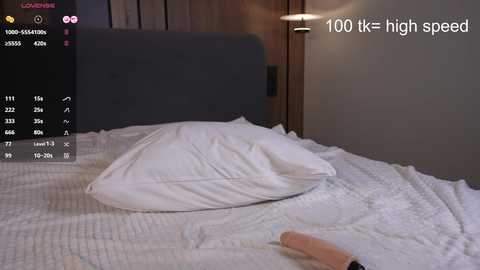 Media: Video of a neatly made bed with white pillows and a beige quilt, set against a wooden headboard in a modern bedroom. A partially visible sex toy lies on the bed.