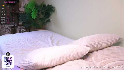 Media: Video of a cozy bedroom with a bed covered in light pink, ribbed blankets, a green potted plant, and a TV screen displaying a streaming service interface.