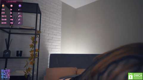 Media: Video of a modern living room with a grey couch, beige wall, and a black bookshelf adorned with yellow flowers and black decor items. A digital overlay shows a \"Love Island\" game.