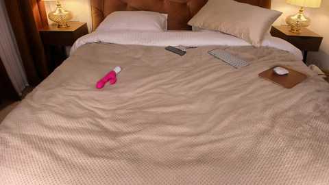 Media: Video of a neatly made bed with beige blanket, a pink vibrator, remote control, and a closed notebook on a wooden nightstand with a lamp.