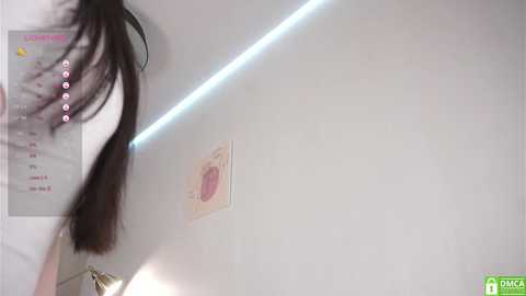 Media: Video of a young woman with long, dark brown hair, standing in front of a white wall with a framed anatomical diagram. She has a black headband. The background includes a white wall and a partially visible window.