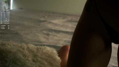 Media: Video of a person's bare leg with a large, erect penis visible. The leg is on a soft, cream-colored carpet. The background is dimly lit, with a hint of a window and a greenish wall.