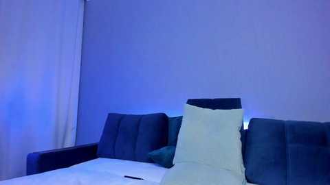 Media: Video of a minimalist bedroom with a blue-tinged ambiance. The bed has dark blue fabric cushions and a white pillow, set against a plain white wall. A black remote control lies on the bed.