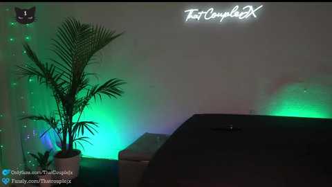 Media: Video of a dimly lit room with a green-lit desk, a potted plant, and a black cat in the corner. The wall has a glowing text \"ForComplEX\" in white.