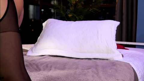 Media: Video of a white pillow on a gray blanket, partially visible person in black lingerie on the left, dark background with green plants and window reflections.