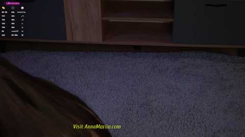 Media: A video of a dimly lit living room featuring a carpeted floor, wooden furniture, and a TV screen displaying a website address. The image is taken from a low angle.