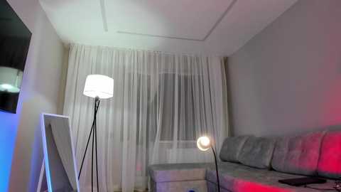 Media: Video of a minimalist, modern living room with white curtains, a gray sofa, two floor lamps, and a TV, bathed in soft red and blue lighting.