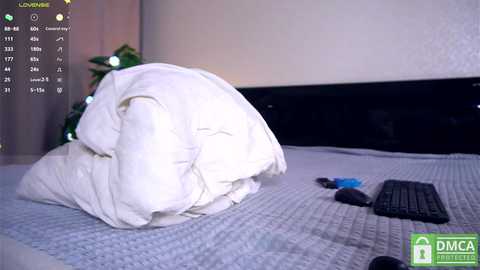 Media: Video of a neatly folded white blanket on a bed, with a black remote control and a blue pen nearby. Background shows a white wall and a green Christmas tree.