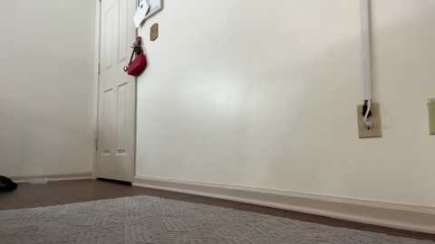 Media: Video of a clean, minimalist hallway with white walls, beige carpet, and a red handbag hanging on a white door.