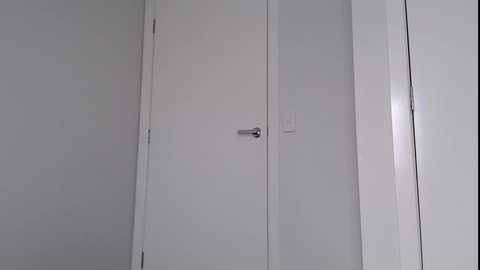 Media: A video of a minimalist, white-painted interior door with a sleek, silver handle, set against a plain, light gray wall. The door is centered and slightly ajar, revealing a small, uncluttered hallway beyond. The image conveys a clean, modern aesthetic.