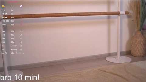 Media: Video of a ballet barre with wooden rail and white stand, set against a beige wall with a woven basket and green plant in the background.