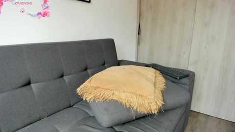 Media: A video of a minimalist living room featuring a gray couch with a beige, fringed throw pillow, a remote control on the armrest, and a wooden wardrobe in the background.