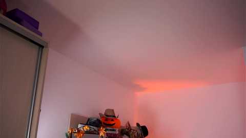 Media: A video of a child's room with a Halloween theme. The room features a white wall with a shadow cast by a pumpkin light, a purple box on top of a white wardrobe, and a cluttered desk with a stuffed animal and a toy car.