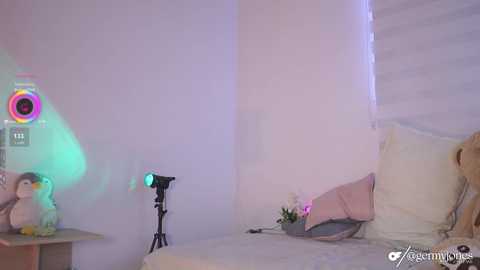 Video of a minimalist, cozy bedroom with white walls, a queen bed covered in white linens, a plush teddy bear on a wooden nightstand, and a professional camera on a tripod.