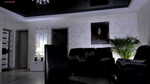 Media: Video of a dimly-lit, modern living room with black leather couches, a white TV, white walls, a potted plant, and a large, dark chandelier.