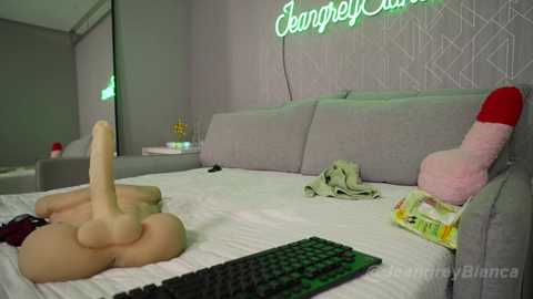 Media: Video of a minimalist bedroom with a grey upholstered bed, a green keyboard, a dildo, and a stuffed toy, against a light grey wall with a neon sign.