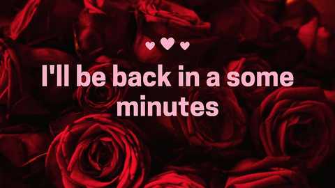 Media: A video of deep red roses with a bold white text overlay: \"I'll be back in a some minutes.\" Two small pink hearts are above the text. The background is a rich, velvety red.