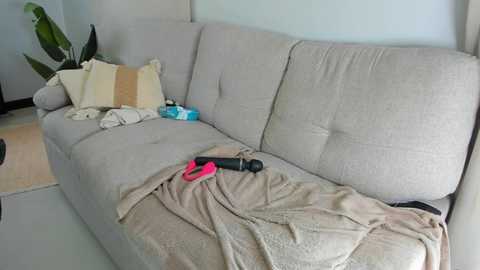 Media: A video of a modern living room with a beige sectional sofa, a beige blanket, a pink pair of scissors, a blue and white bottle, and a green plant in the background.