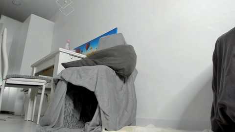 Media: A video of a small, gray dog curled up in a pile of gray blankets in a minimalist room with white walls and a white desk. The dog's head is covered, and a blue painting hangs on the wall.