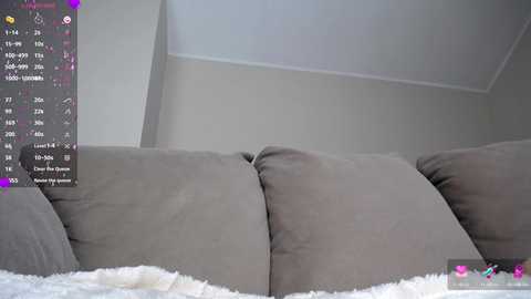 Media: Video of a gray sectional sofa with plush, light gray cushions and a white, fluffy blanket covering part of it. The background is a plain, light-colored wall. The image includes a virtual screen overlay with a chat window.