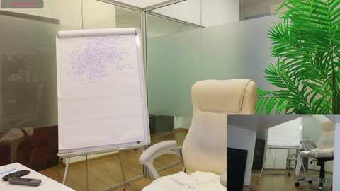 Media: Video of a modern office with a whiteboard, beige office chair, and a green plant.