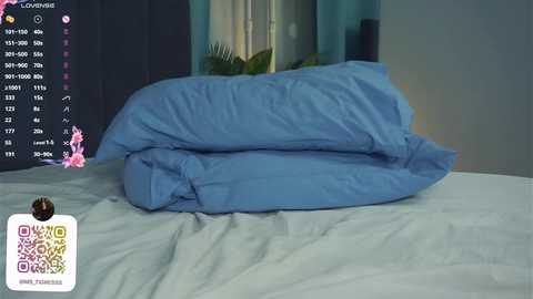 Media: Video of a neatly made bed with blue sheets and a single pillow, set against a plain teal wall. The background features a partially visible green plant and a dark blue curtain.