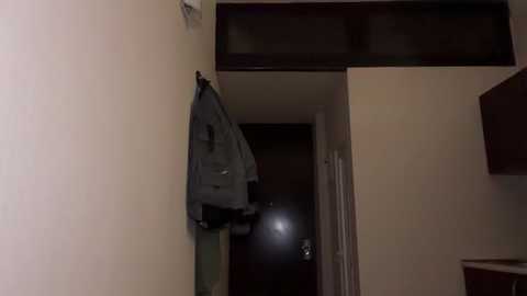 A video of a dimly lit, narrow hallway with beige walls, a dark wooden door, and a coat hanging on the left wall.