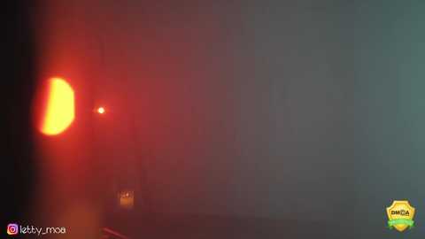 Media: Video of a dimly lit room with a red and yellow warning light in the upper left corner, a blurry figure in the background, and an \"OWA\" logo in the bottom right.