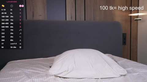 Media: Video of a modern bedroom with a gray upholstered headboard, a white pillow on a white bedspread, wooden-paneled wall, and a digital screen displaying speedometer readings.