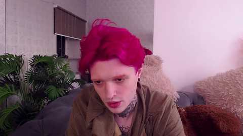 Media: Video of a pale-skinned person with bright pink hair, wearing a green jacket and a black choker, sitting on a gray couch with potted plants and a brown blanket in the background.