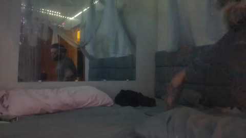 Media: A dimly lit video of a cozy bedroom with a large bed covered in white and blue sheets, a black cat on the right, and fairy lights in the background.