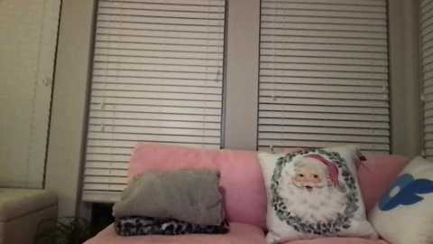 Media: A video of a cozy, pastel-colored living room with a pink sofa featuring two decorative pillows: a leopard-print one and a Santa Claus pillow. Behind, white blinds cover the windows.