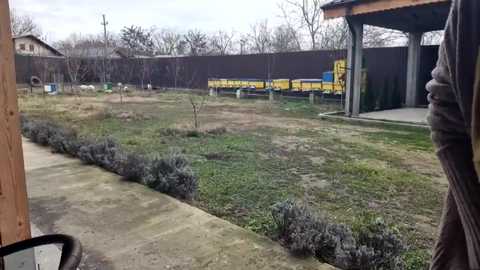 Media: Video of a gravel yard with a yellow train, bordered by a wooden fence, under a cloudy sky. A person in a gray jacket stands near the edge, looking at the scene.