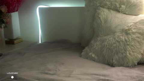 Media: Video of a cozy, dimly-lit room with beige carpeting, a fluffy white pillow, and a red-patterned chair in the background. A bright white light casts a stark contrast against the soft textures, creating a serene atmosphere.