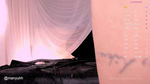 Media: Video of a person in a white, sheer, draped bed canopy, lying on a black satin sheet, with a tattoo on the thigh.