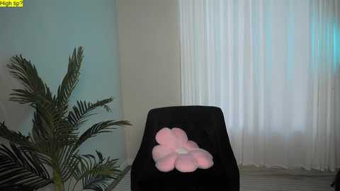 Media: Video of a black armchair with a pink plush flower cushion in a minimalist room with a tall potted palm plant near a white curtain-covered window.