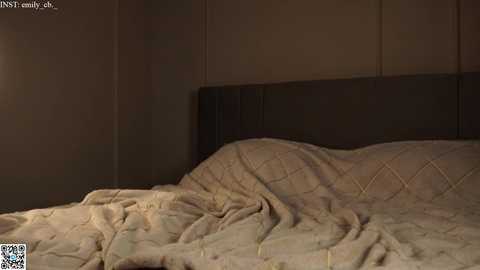 Media: Video of a dimly lit bedroom with a beige quilted bedspread, a dark padded headboard, and a plain beige wall.