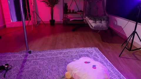 Media: A video of a dimly-lit, modern bedroom with wooden floors, a gray rug, a purple throw pillow, a suspended swing, a plant, and a red light.