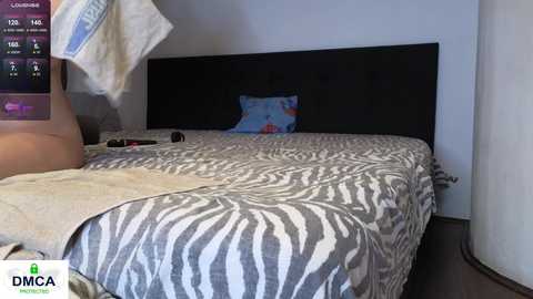 Media: Video of a minimalist, modern bedroom with a zebra-patterned bedspread, black headboard, and a blue pillow. The bed is unmade, with a beige towel draped over the side. A smartphone with a white case is visible on the nightstand.