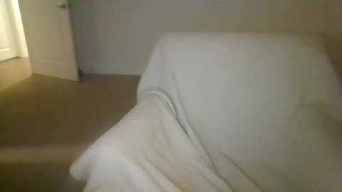 Media: A dimly lit video of a bedroom corner with a white bed partially covered by a white blanket, beige carpet, and a partially open white door in the background.