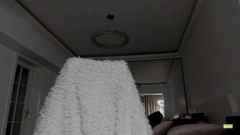 Media: A video of a dimly lit room with a fluffy white blanket covering a chair, a chandelier overhead, and a partially visible person in the background.