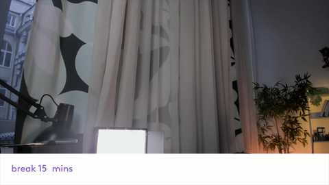 Media: Video of a modern, dimly lit room with a large window, white curtains, a black and white patterned cushion, a table lamp, and a small potted plant.